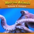 动物英文科普阅读---Octopus（章鱼）