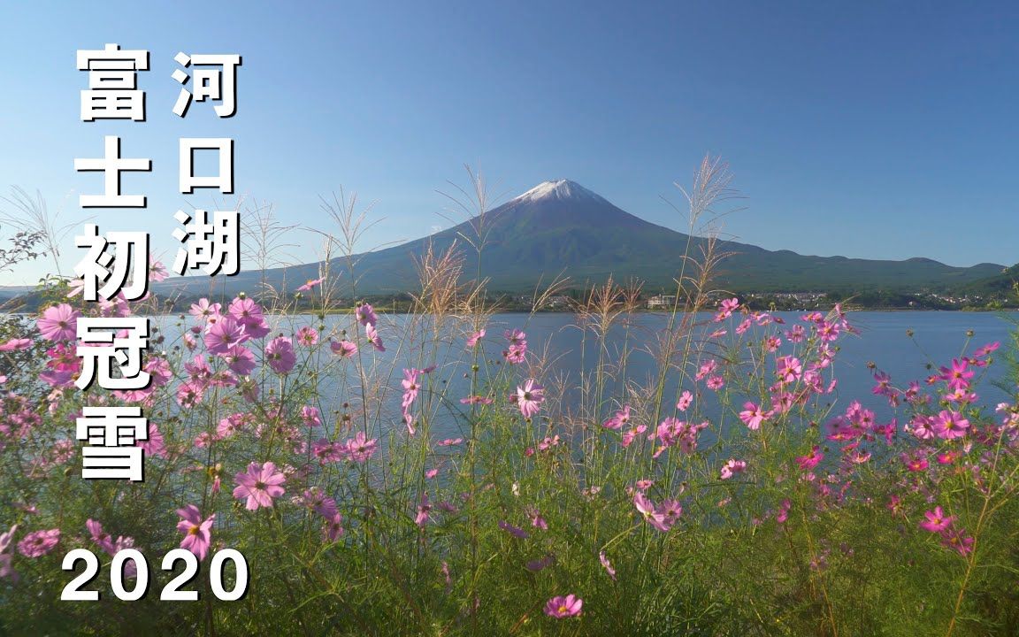 2020 富士山 初冠雪 Mt.Fuji With Virgin Snow At Lake Kawaguchi