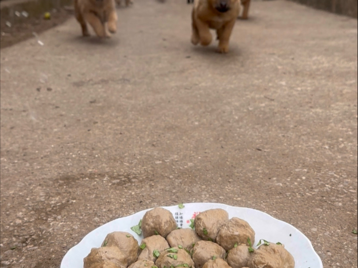 今天吃牛肉丸