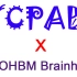 [YCPABI × Brainhack] 严老师带你三天学脑影像编程视频专辑