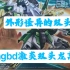 【胖大魔的模玩分享第8期】 hg hgbd激炎双头龙高达 双头龙高达 的板件评测分享