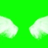 绿幕视频素材仙女翅膀