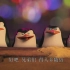 【混剪】X【马达加斯加的企鹅】超可爱 ！！！