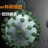 【Blender科研绘图】案例82-冠状病毒