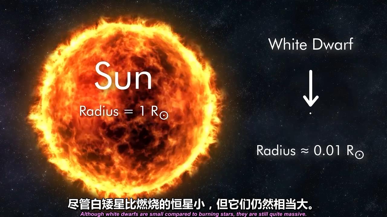什么是白矮星(中英字幕)