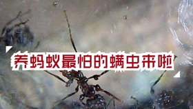 26c523e55f2633d53c394d848e5cbdad895009e2.jpg@280w_158h_1c_100q.jpg