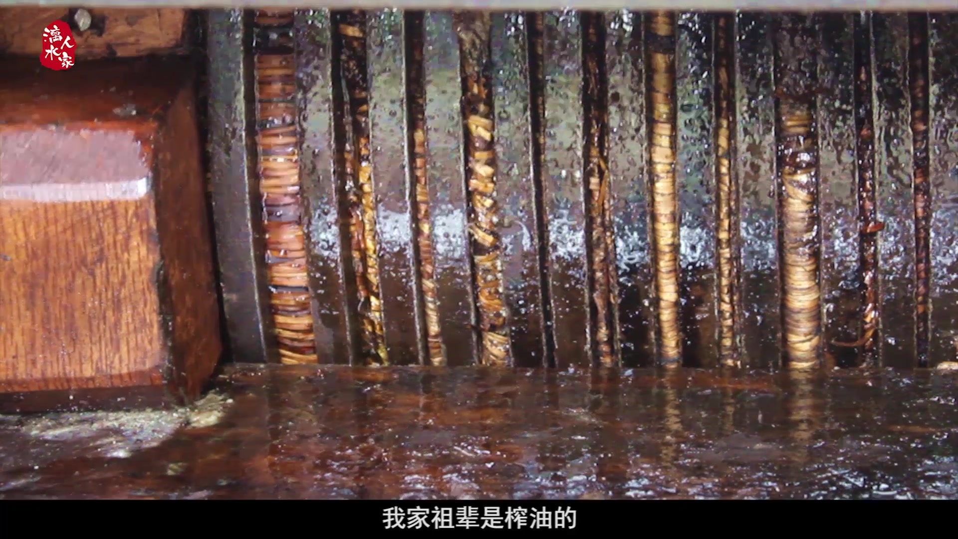 社会与法消失的新娘