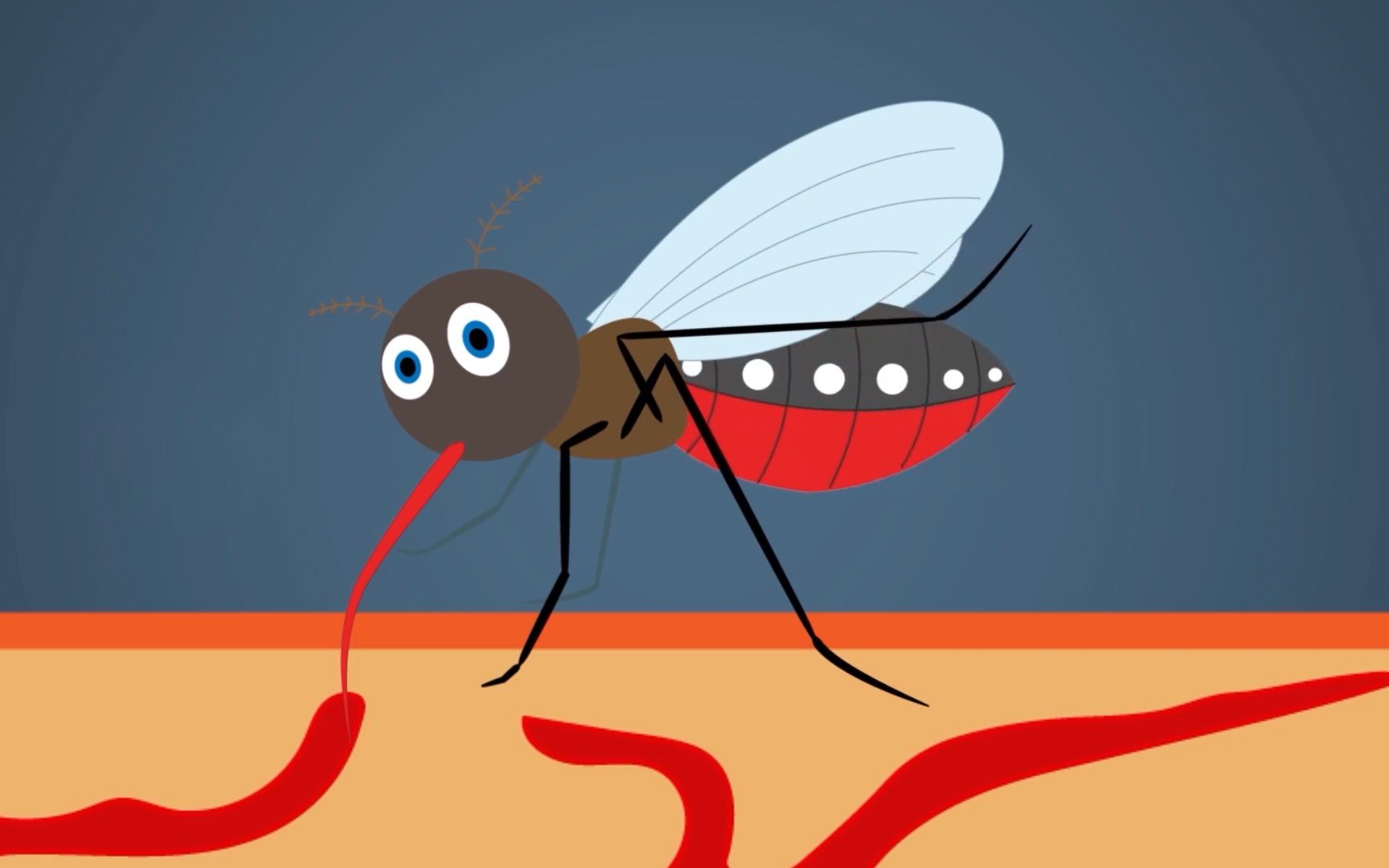 3D动画演示蚊子吸血全过程，为何蚊子叮人总能悄无声息地进行？