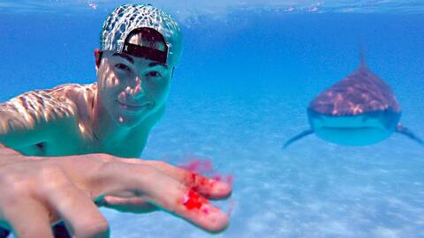 2729fab76052fb570bb490469e7d29af537db255.jpg@480w_270h_1c