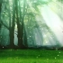 梦幻神秘森林led背景视频免费下载44