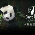 大熊猫国家公园：世界的宠儿