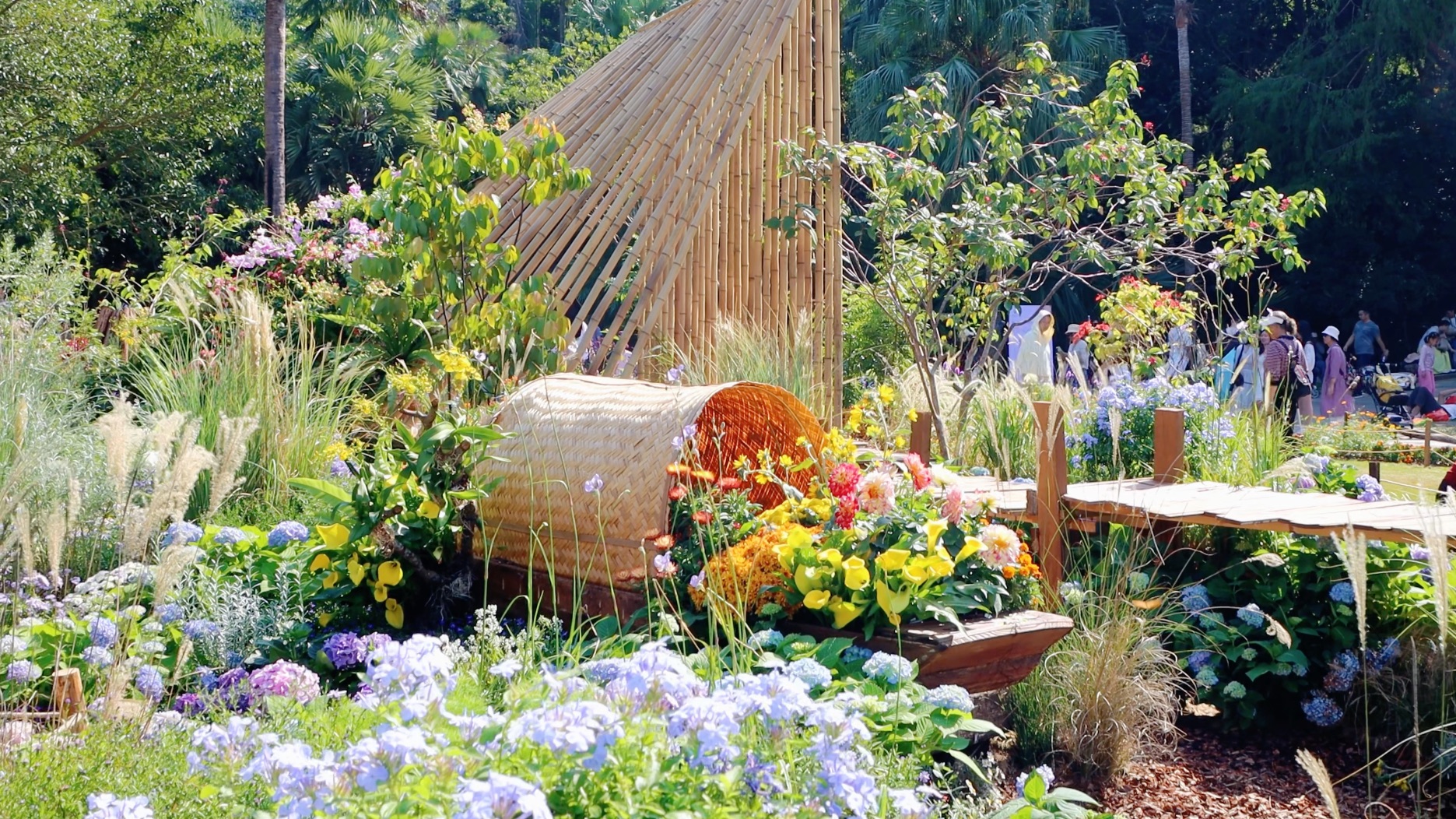 深圳·仙湖植物园 | 当仙湖的「秋花集」花展遇上天光晴好，仿佛闯入莫奈花园，每一步都像走在光与色的交响诗里……