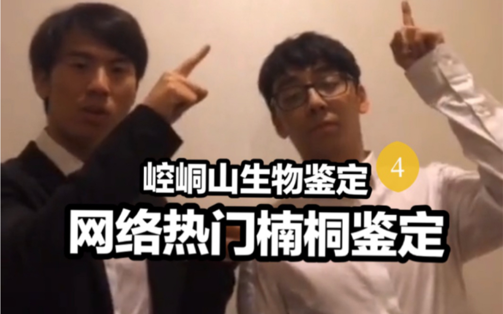 【Breddy】网络热门楠桐鉴定(4)哔哩哔哩bilibili