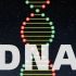 【scratch编程】DNA双螺旋动画