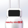 近期计划，智能小车、reachy mini复刻、宠物AI