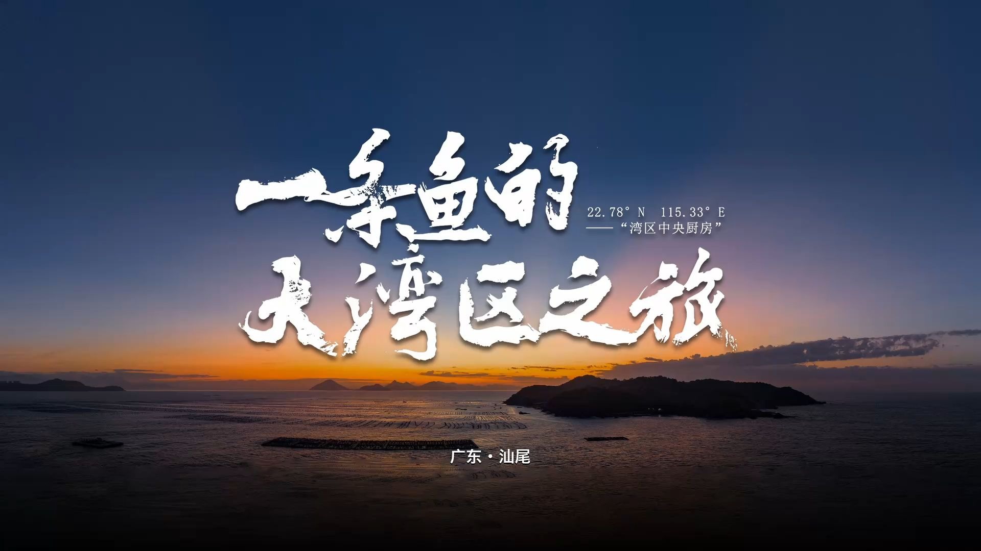 一条鱼的大湾区之旅