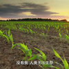 环保《大自然在说话 Nature is Speaking》第1季 高清英文全集 720P - 001 - 01大自然母亲
