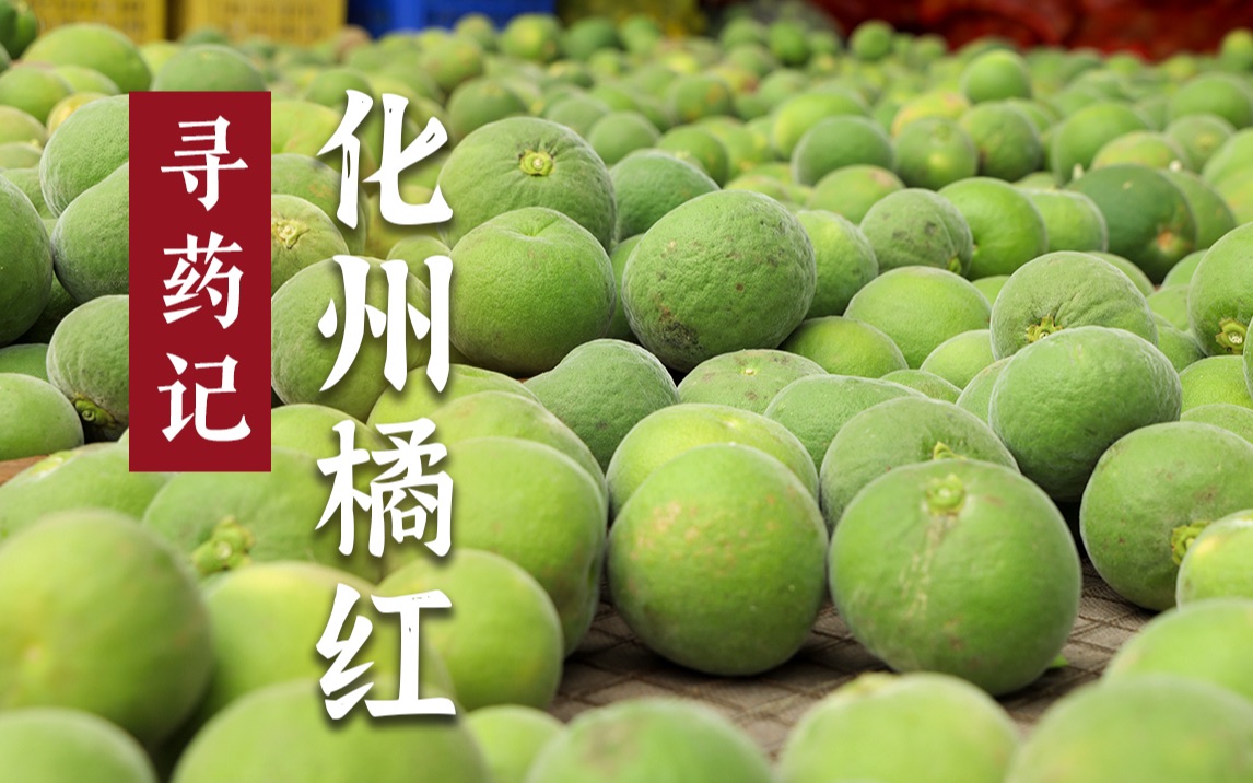 寻药记 化州橘红