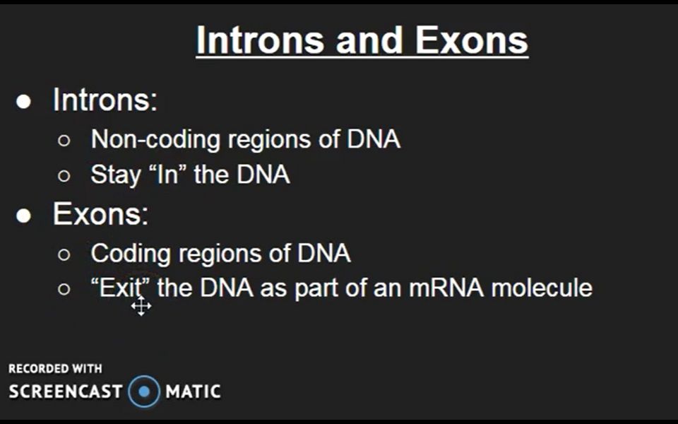 内含子和外显子 introns and exons 哔哩哔哩 つロ干杯 bilibili