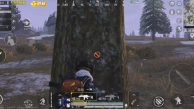 如何上王牌11星 2852aa96d936841a19ca36a8b8e146e988784f2c.jpg@280w_158h_1c_100q.jpg