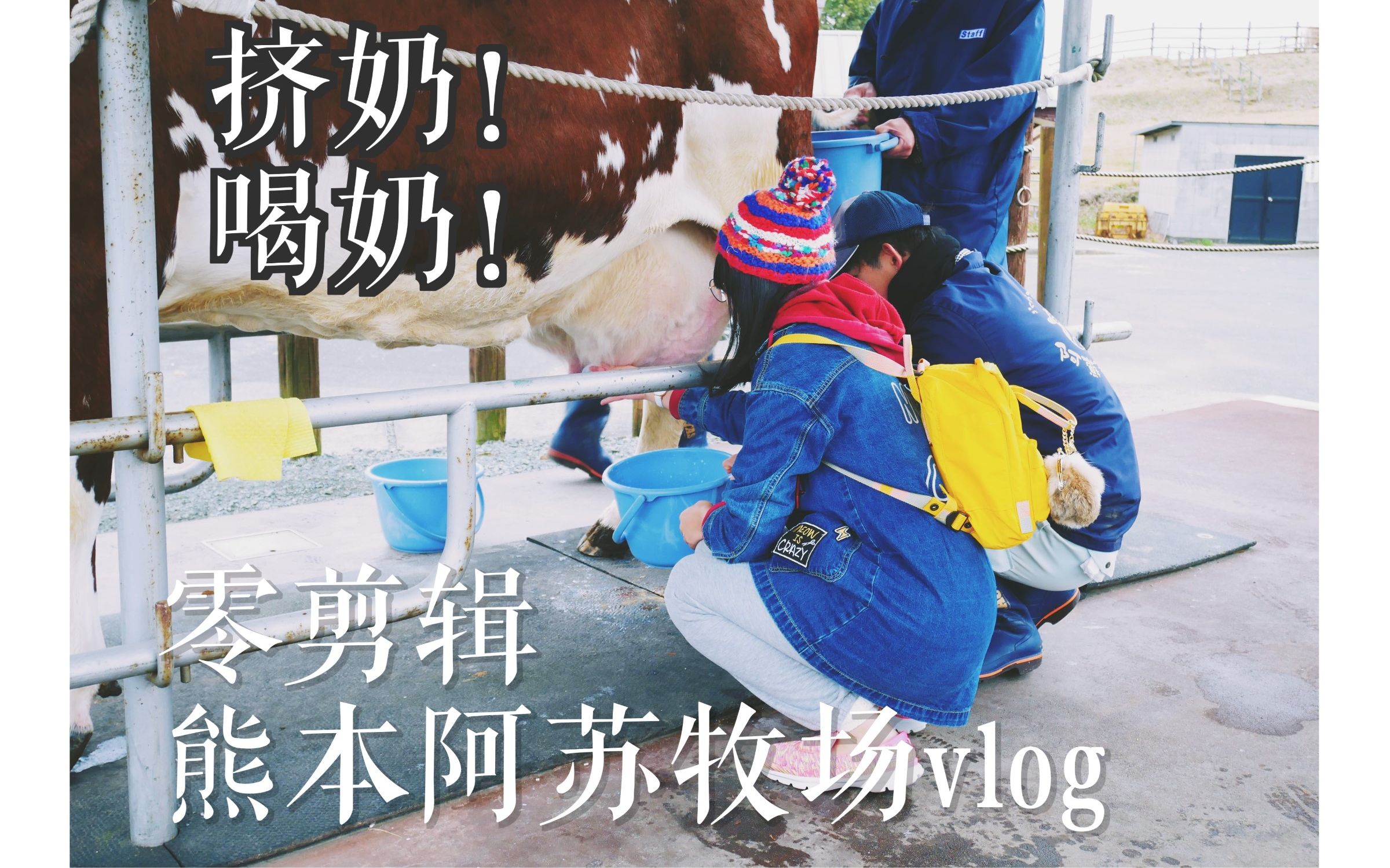 阿糖vlog 零剪辑熊本阿苏牛奶牧场vlog 挤奶 喝奶 挤奶 喝奶的幸福生活 哔哩哔哩 つロ干杯 Bilibili