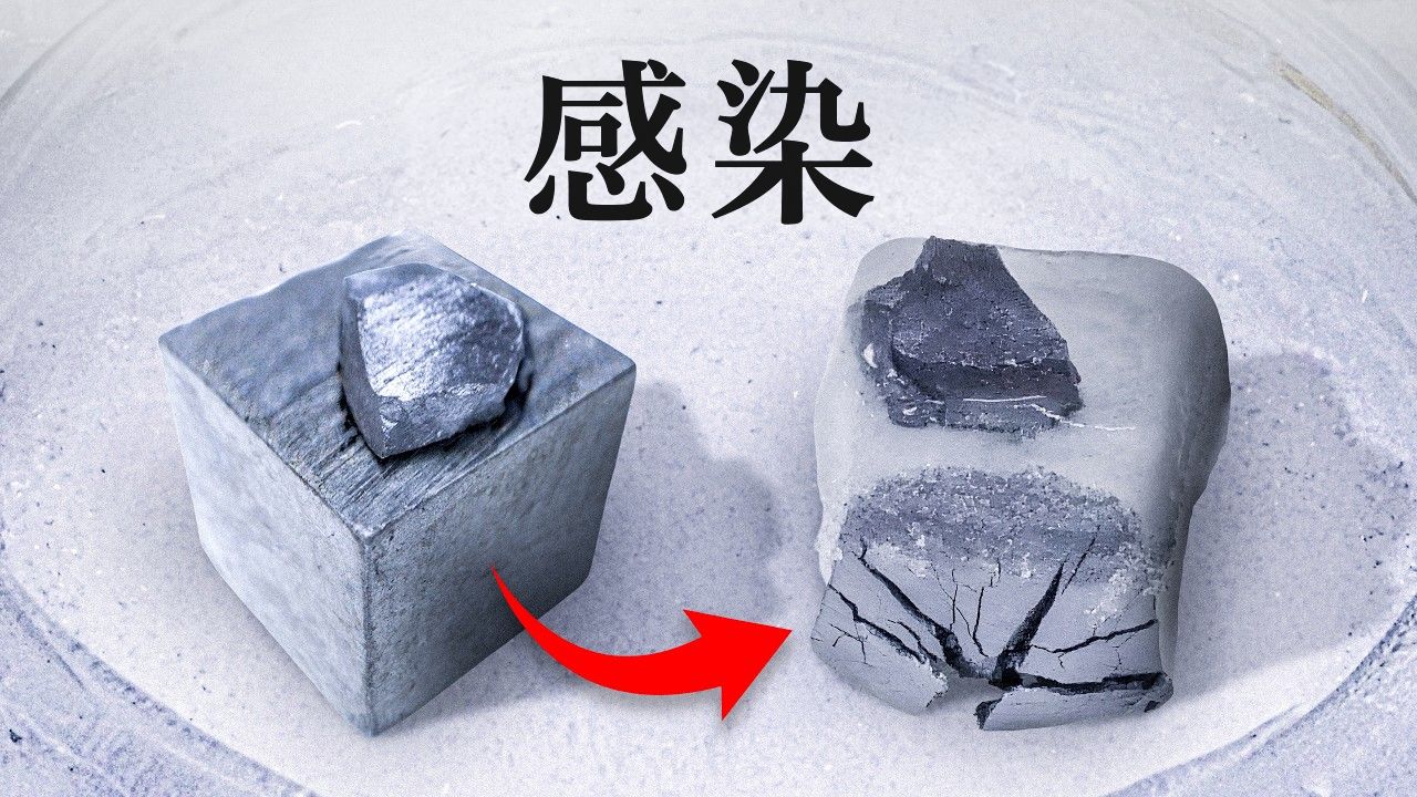 这是一个我没有想到过的自然灾害