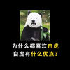 为什么人们都喜欢白虎，白虎有什么优点