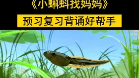 28e399ac49a9c9095fa876a8853ab216c62432a5.jpg@280w_158h_1c_100q.jpg