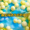 四岁时，我肢解了宫中的狸奴；五岁时，我擒了满院的鸟制「百禽图」。上至父皇母后，下至宫娥太监，都说我是个疯子。唯有皇姐，紧紧抱着我
