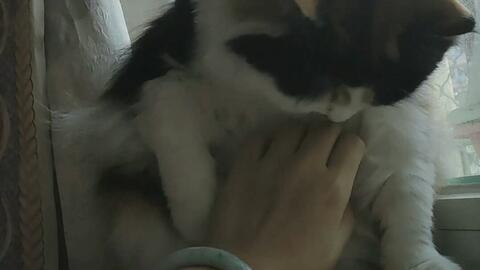 28f2502a0d356fdeb7dc6b70b6e2a6fec1c4364a.jpg@480w_270h_1c