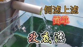 28f69232fef7ec7bbb71d80307e5c291f74f3fb5.png@280w_158h_1c_100q.jpg