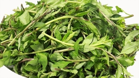 山上的野菜蕨菜 28fbc60f52812365d105f0fb73c2555afc714247.jpg@280w_158h_1c_100q.jpg