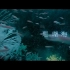 周杰伦《珊瑚海》MV