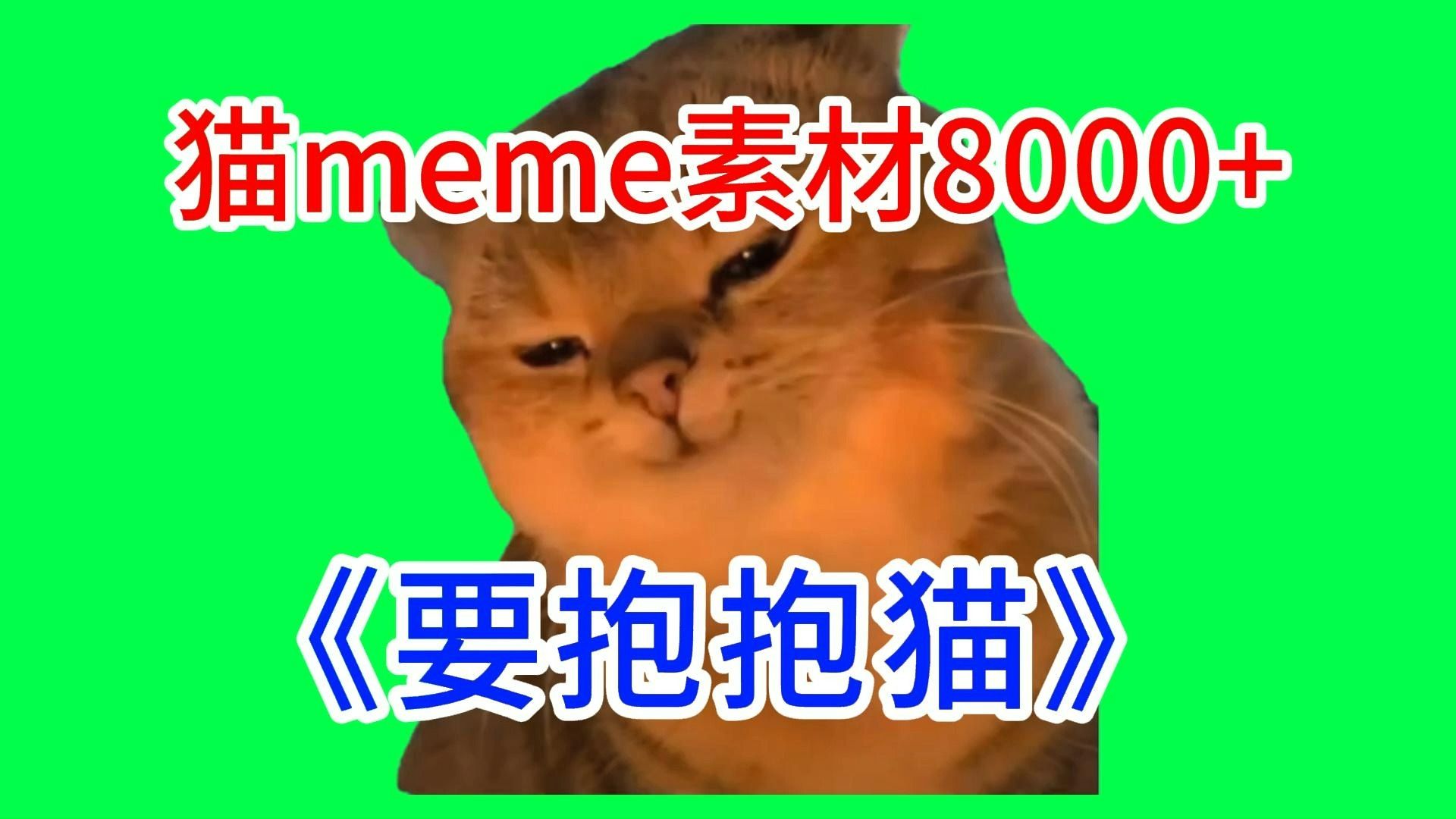 【要抱抱猫】猫meme绿幕素材完整分享～，猫meme素材整合分享，合集分享！