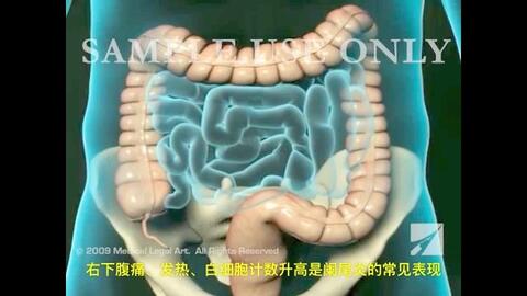 29098babd479941503fd7056c6133d0d3a56a468.jpg@480w_270h_1c