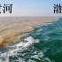 为什么渤海水和黄河水不相融？