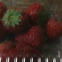 草莓大颗粒