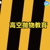 高空抛物防坠落安全教育