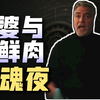 一口气看完《双狼