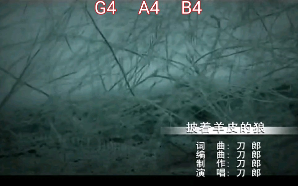 130多个G4！连续B4咬字！刀郎《披着羊皮的狼》高音统计