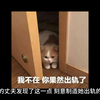 花与蛇