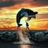 Free Willy -  Will You Be There