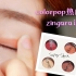 【saul】Colorpop ZINGARA眼影试色❤眼妆教程❤新年眼妆❤平价彩妆