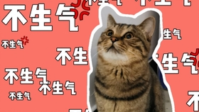 29527c1ac969133b8815b14ca543573f299a6525.jpg@280w_158h_1c_100q.jpg
