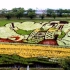 【日本彩稻】无人机拍摄日本稻田艺术These Murals Were Grown from Rice
