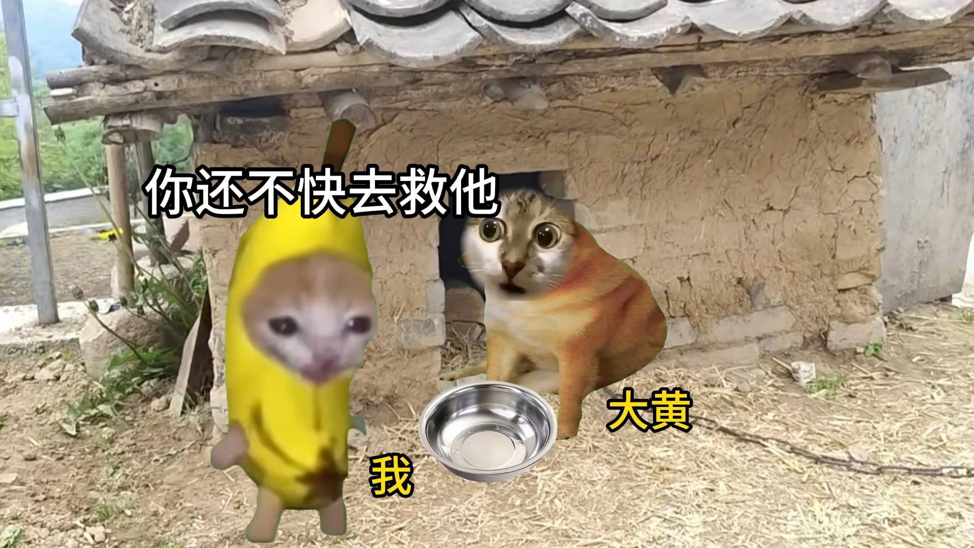 再也不来爷爷家了