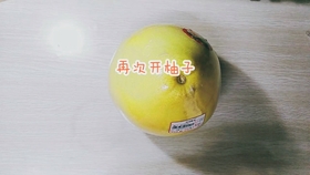 296d79a351b3c61810006d08346cefdc9130dea2.jpg@280w_158h_1c_100q.jpg
