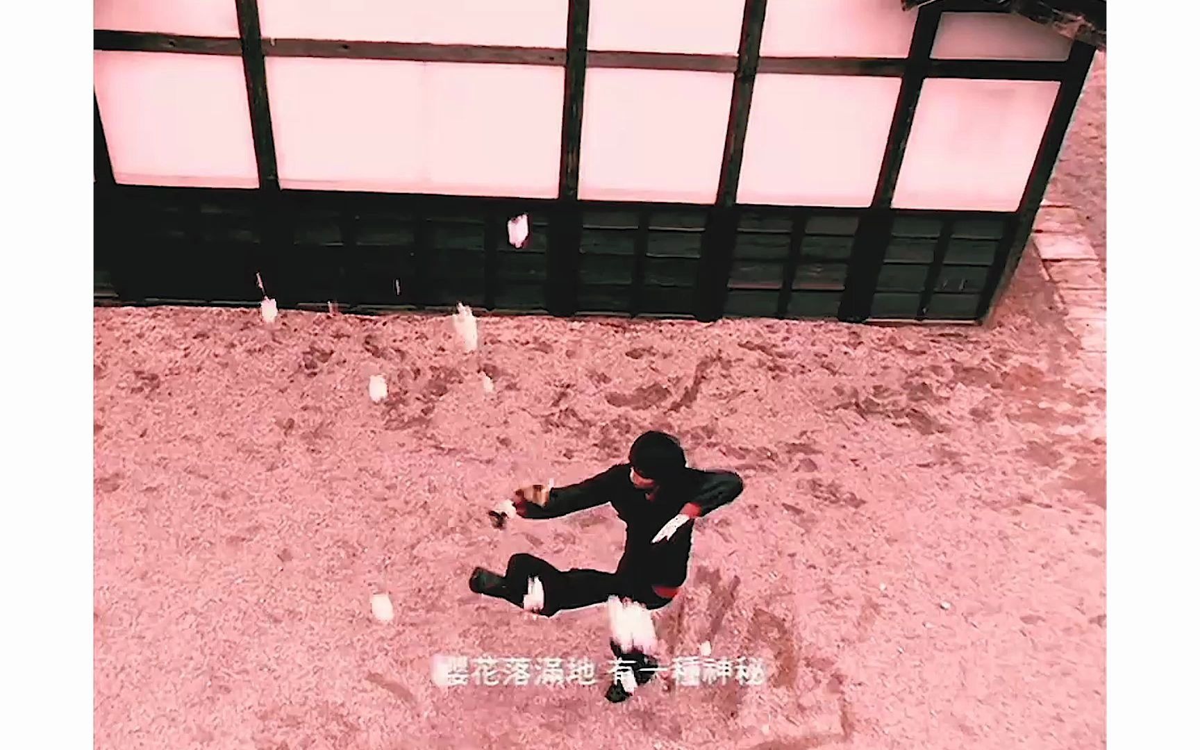 大力《忍者》大力欢乐滴滴滴 翻唱