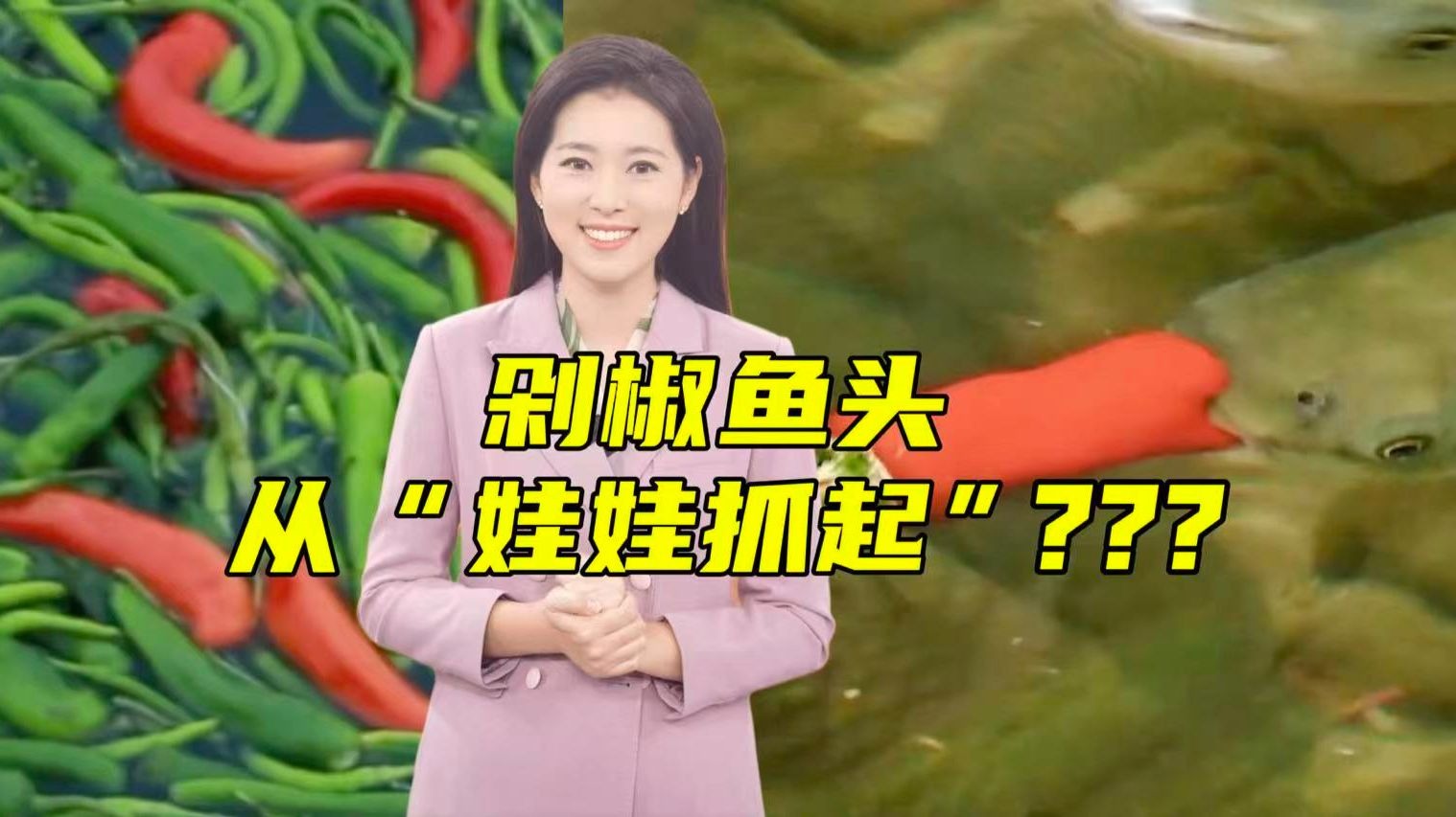 喂鱼吃辣椒？！食材比我先吃上“湘菜”了？？？【主播说三农】