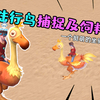 创造与魔法：陆行鸟饲料制作及捕捉，位置资质怎么驯服，游戏教程